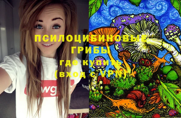 прущая мука Богданович