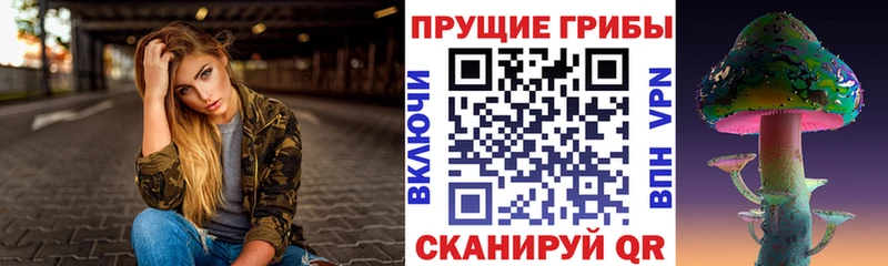 Псилоцибиновые грибы Cubensis  omg ссылка  Гусев 